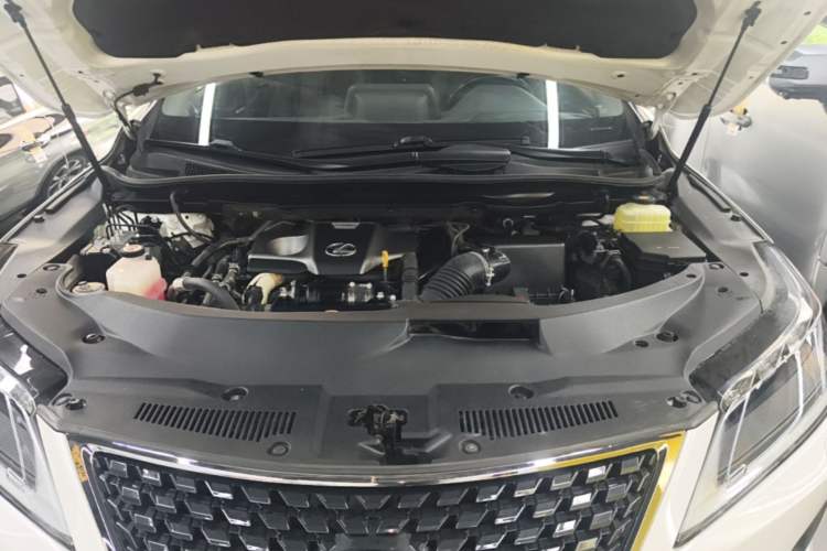 Used Lexus RX 2020 300 4x4 Elegant Edition China VI Engine Bay