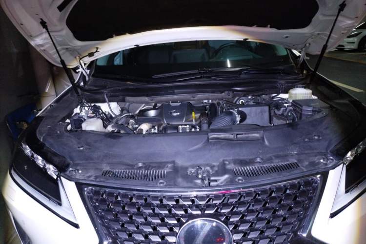 Used Lexus RX 2020 Facelifted 300 4x4 Elegant Edition Engine Bay