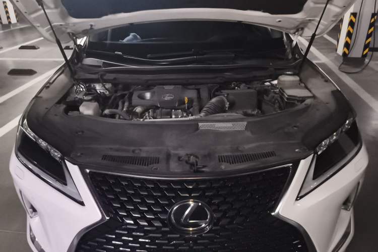 Used Lexus RX 2020 Revised Version 300 Two-Wheel Drive Elite Edition Engine Bay