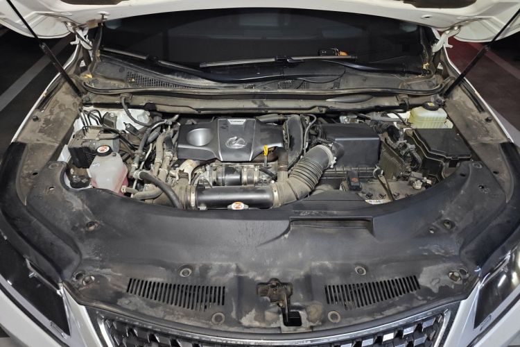 Used Lexus RX 2020 Revised Version 300 Two-Wheel Drive Elite Edition Engine Bay