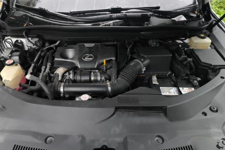 Used Lexus RX 2020 300 Two-Wheel Drive Elite Edition China VI Standard Engine Bay