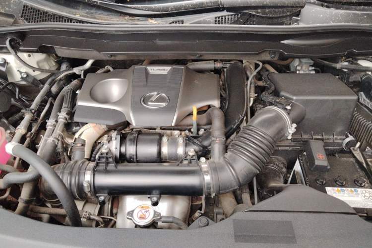 Used Lexus RX 2020 300 Two-Wheel Drive Elite Edition China VI Standard Engine Bay