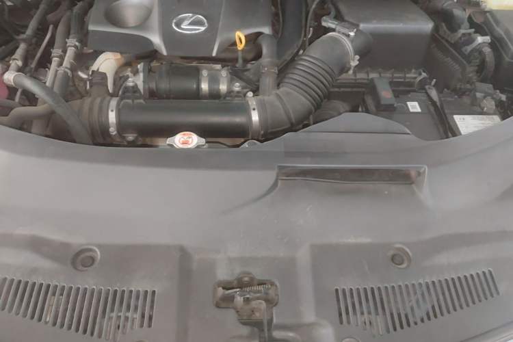 Used Lexus RX 2020 300 4x4 Elegant Edition China VI Engine Bay