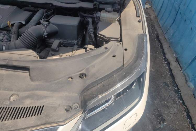 Used Lexus RX 2020 300 Two-Wheel Drive Elite Edition China VI Standard Engine Bay Left