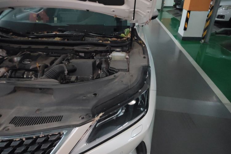 Used Lexus RX 2020 Revised Version 300 Two-Wheel Drive Elite Edition Engine Bay Left