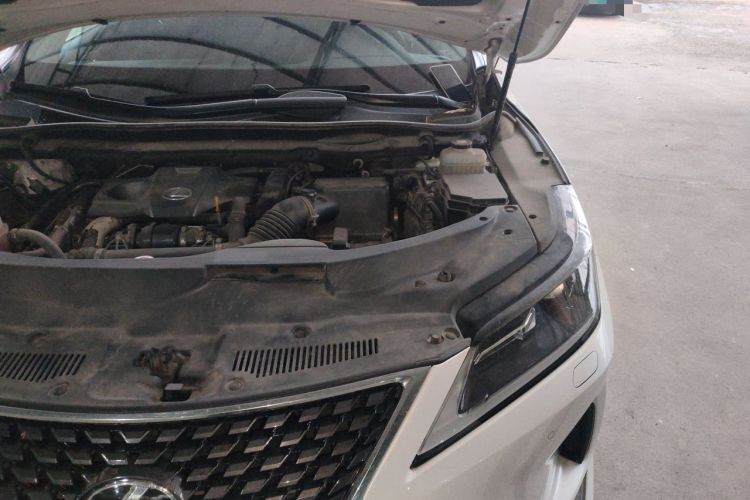 Used Lexus RX 2020 300 Two-Wheel Drive Elite Version China V Standard Engine Bay Left