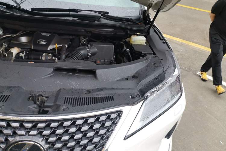 Used Lexus RX 2020 Facelifted 300 4x4 Elegant Edition Engine Bay Left