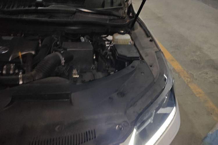 Used Lexus RX 2020 300 Two-Wheel Drive Comfort Edition China VI Standard Engine Bay Left