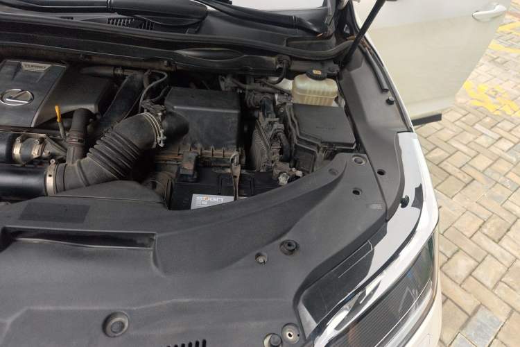 Used Lexus RX 2020 300 4x4 Elegant Edition China VI Engine Bay Left