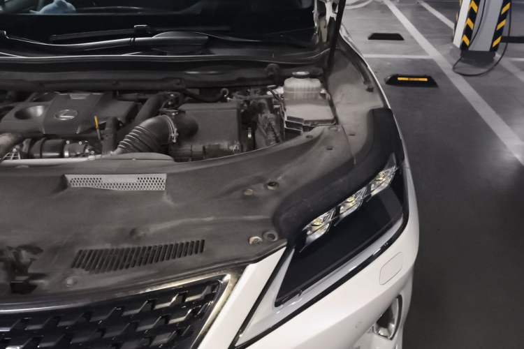 Used Lexus RX 2020 Revised Version 300 Two-Wheel Drive Elite Edition Engine Bay Left