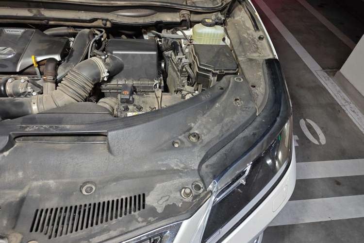 Used Lexus RX 2020 Revised Version 300 Two-Wheel Drive Elite Edition Engine Bay Left