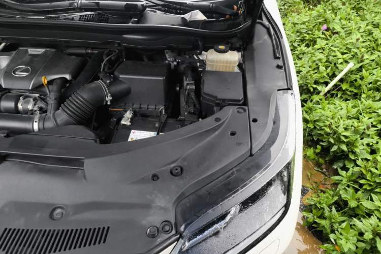 Used Lexus RX 2020 300 Two-Wheel Drive Elite Edition China VI Standard Engine Bay Left