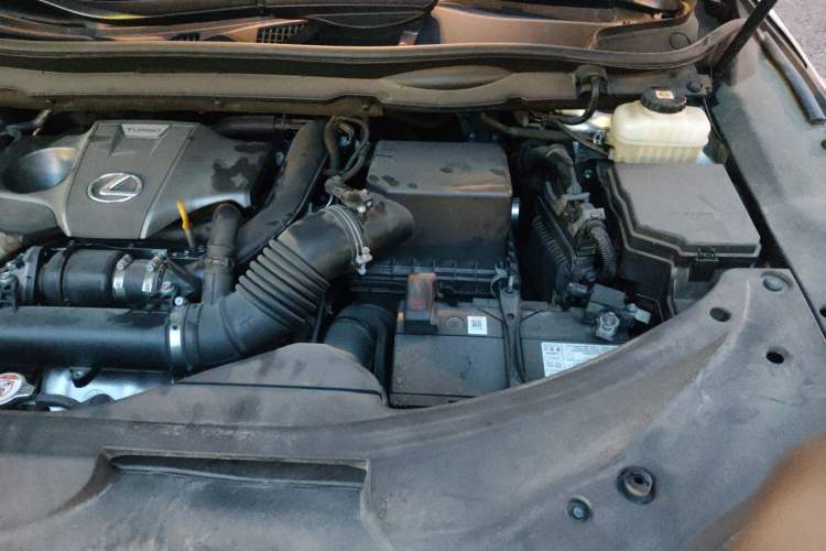 Used Lexus RX 2020 Facelifted 300 4x4 Elegant Edition Engine Bay Left