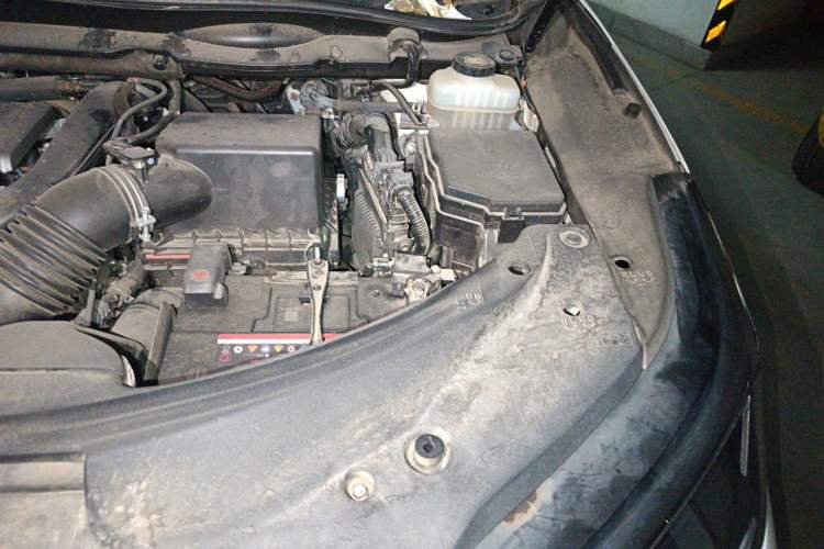 Used Lexus RX 2020 300 Two-Wheel Drive Elite Edition China VI Standard Engine Bay Left