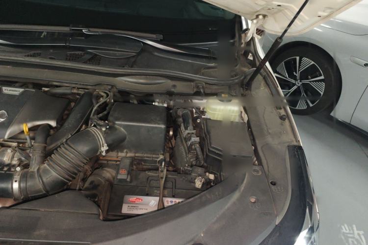 Used Lexus RX 2020 Facelifted 300 4x4 Elegant Edition Engine Bay Left