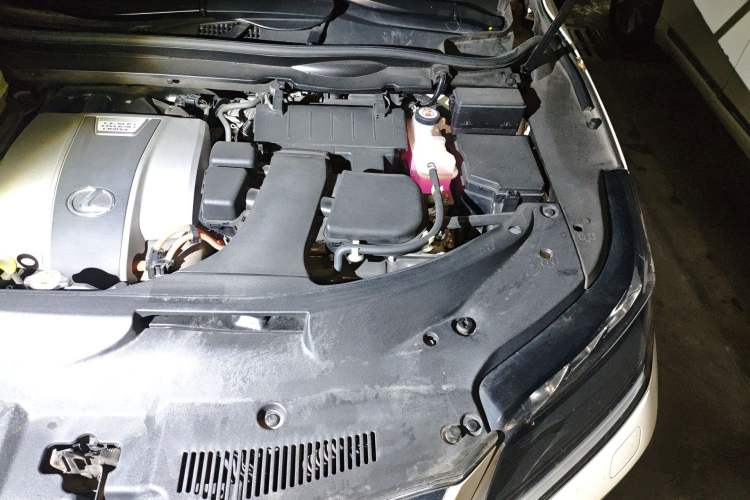 Used Lexus RX 2020 Revised Version 450h Four-Wheel Drive Elegant Edition Engine Bay Left