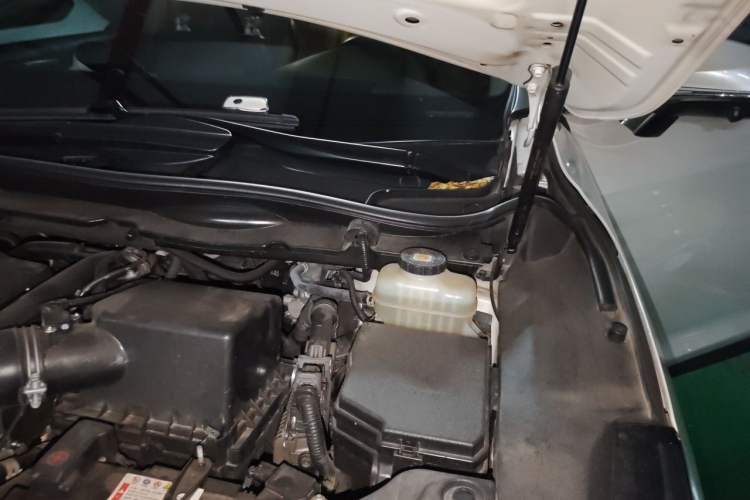 Used Lexus RX 2020 Facelifted 300 4x4 Elegant Edition Engine Bay Left