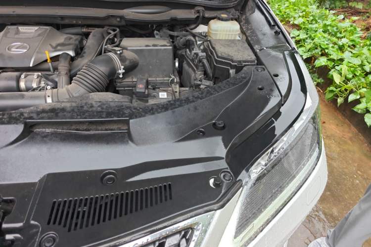 Used Lexus RX 2020 300 4x4 Elegant Edition China V Standard Engine Bay Left
