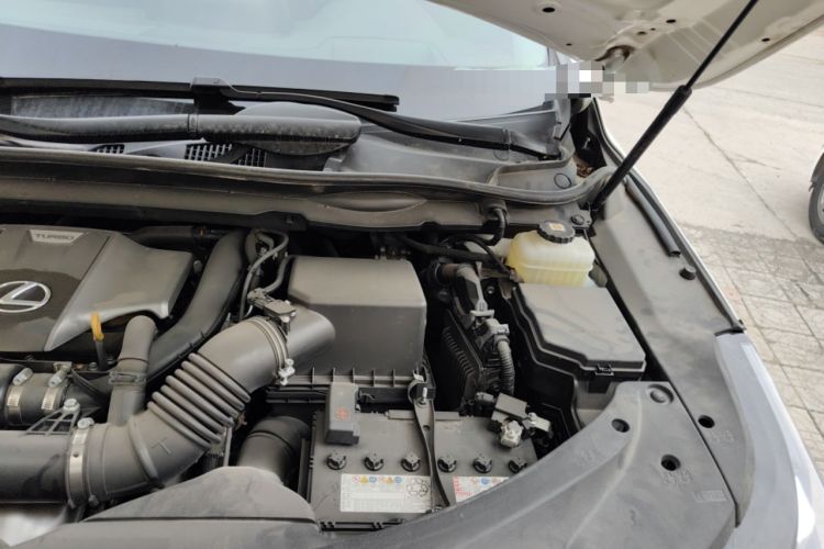 Used Lexus RX 2020 Facelifted 300 4x4 Elegant Edition Engine Bay Left