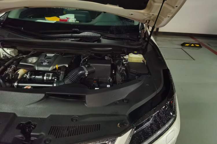 Used Lexus RX 2020 300 Two-Wheel Drive Elite Edition China VI Standard Engine Bay Left
