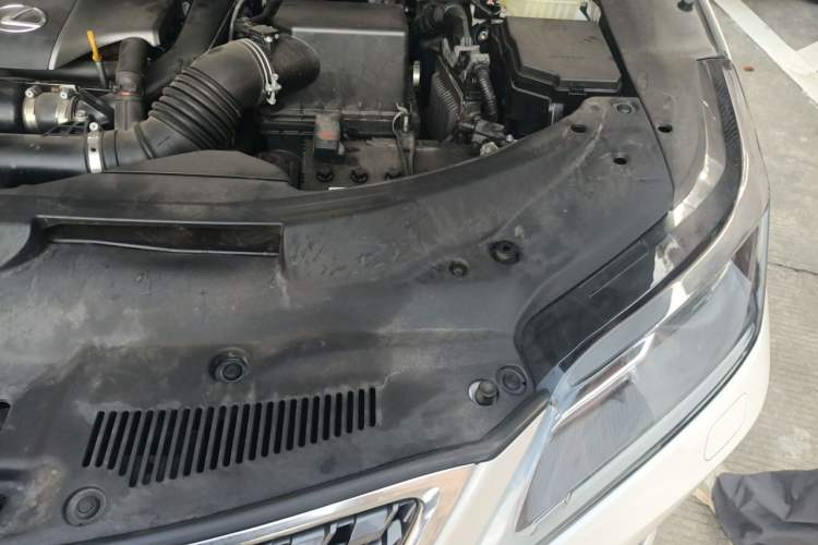 Used Lexus RX 2020 Revised Version 300 Two-Wheel Drive Comfort Edition Engine Bay Left