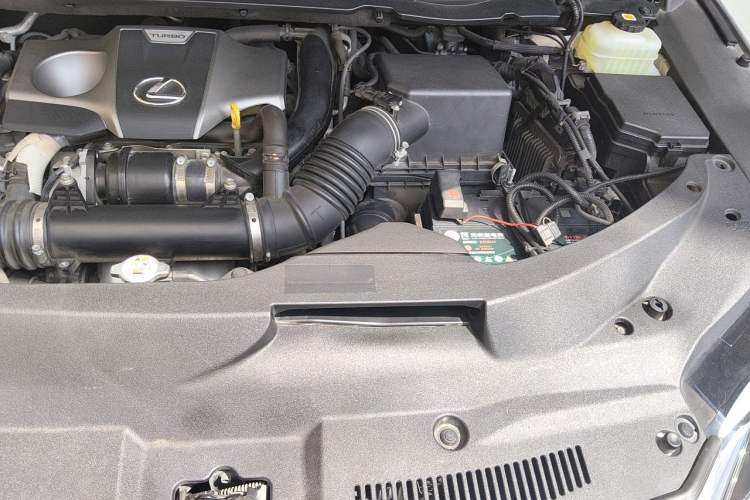Used Lexus RX 2020 Revised Version 300 Two-Wheel Drive Comfort Edition Engine Bay Left