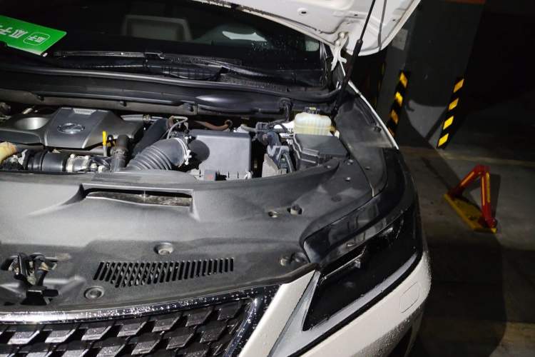 Used Lexus RX 2020 Revised Version 300 Two-Wheel Drive Comfort Edition Engine Bay Left
