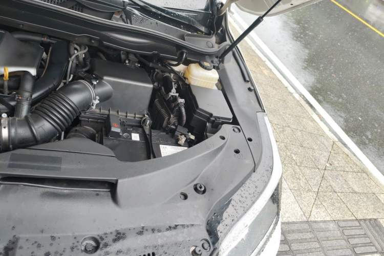 Used Lexus RX 2020 Revised Version 300 Two-Wheel Drive Comfort Edition Engine Bay Left