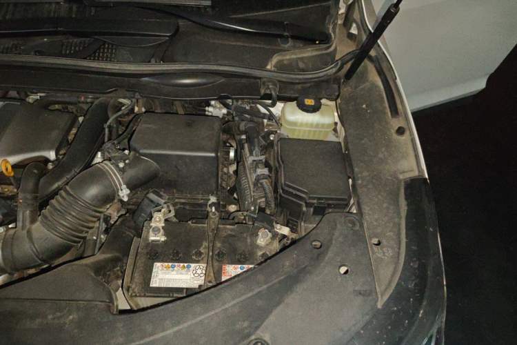 Used Lexus RX 2020 300 Two-Wheel Drive Comfort Edition China VI Standard Engine Bay Left