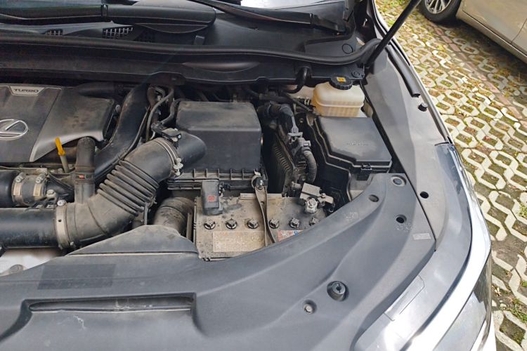 Used Lexus RX 2020 300 Two-Wheel Drive Elite Edition China VI Standard Engine Bay Left