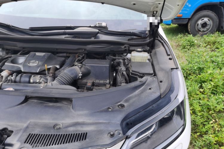 Used Lexus RX 2020 300 Two-Wheel Drive Elite Edition China VI Standard Engine Bay Left