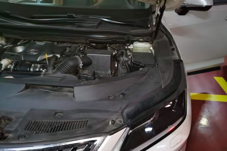Used Lexus RX 2020 Revised Version 300 Two-Wheel Drive Elite Edition Engine Bay Left