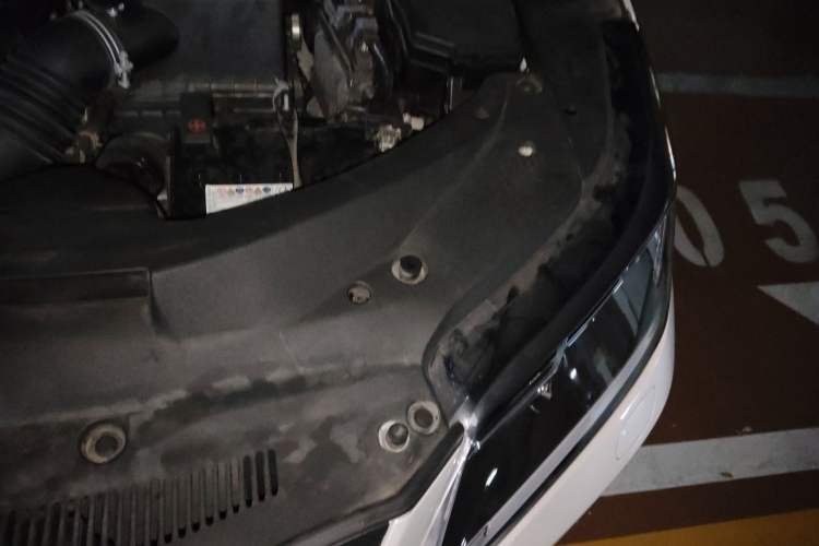 Used Lexus RX 2020 Revised Version 300 Two-Wheel Drive Elite Edition Engine Bay Left