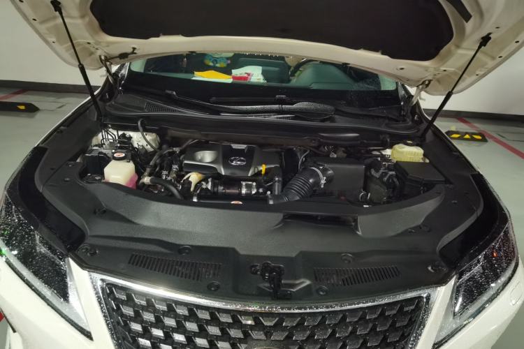 Used Lexus RX 2020 300 Two-Wheel Drive Elite Edition China VI Standard Engine Bay