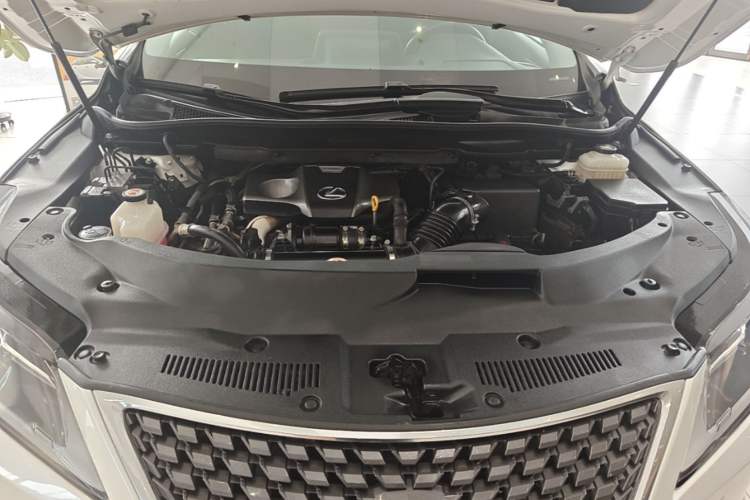 Used Lexus RX 2020 300 Two-Wheel Drive Elite Edition China VI Standard Engine Bay
