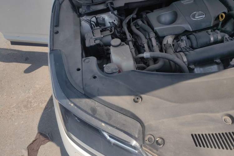 Used Lexus RX 2020 300 Two-Wheel Drive Elite Edition China VI Standard Engine Bay Right