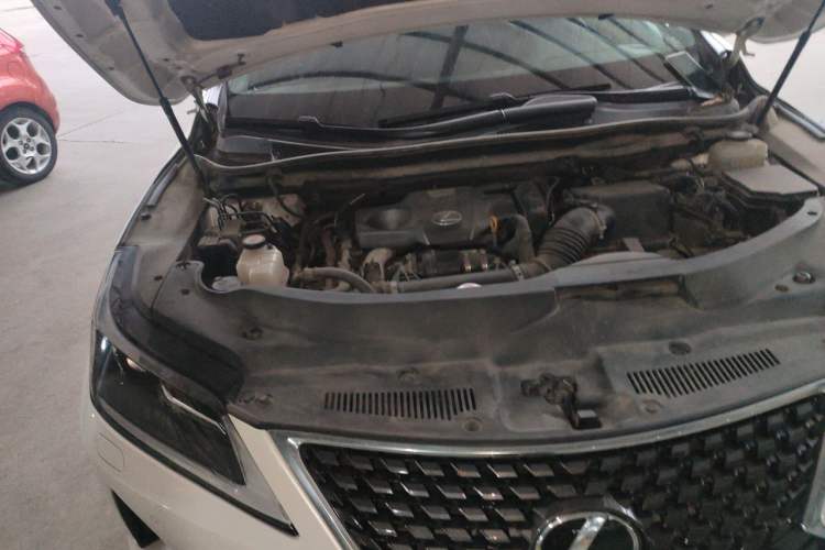 Used Lexus RX 2020 300 Two-Wheel Drive Elite Version China V Standard Engine Bay Right