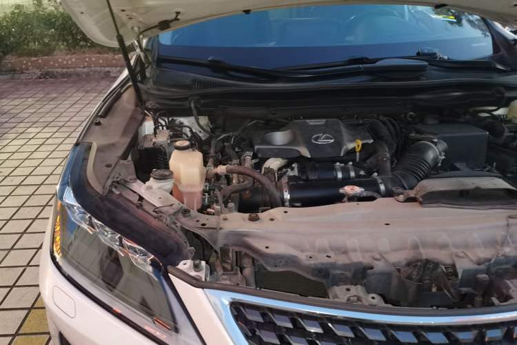 Used Lexus RX 2020 300 4x4 Elegant Edition China VI Engine Bay Right