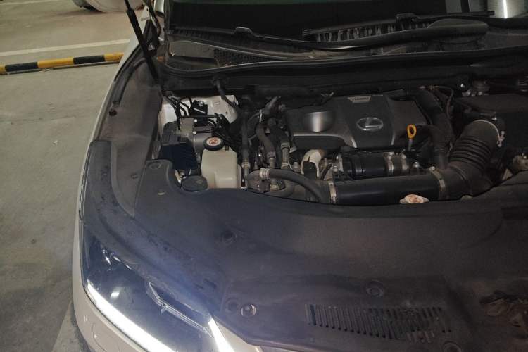 Used Lexus RX 2020 300 Two-Wheel Drive Comfort Edition China VI Standard Engine Bay Right