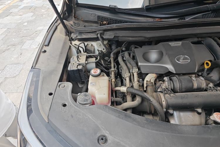 Used Lexus RX 2020 Revised Version 300 Two-Wheel Drive Comfort Edition Engine Bay Right
