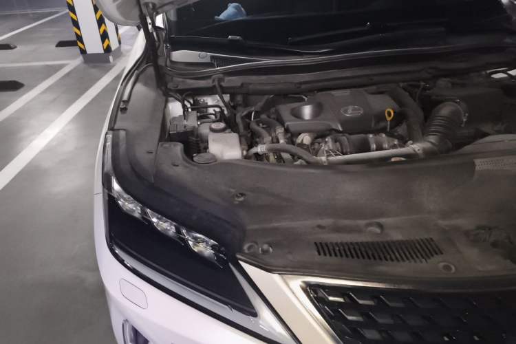 Used Lexus RX 2020 Revised Version 300 Two-Wheel Drive Elite Edition Engine Bay Right