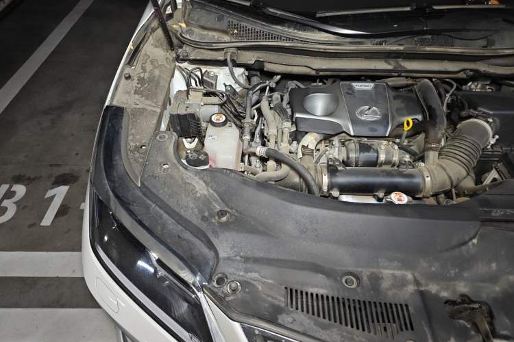 Used Lexus RX 2020 Revised Version 300 Two-Wheel Drive Elite Edition Engine Bay Right