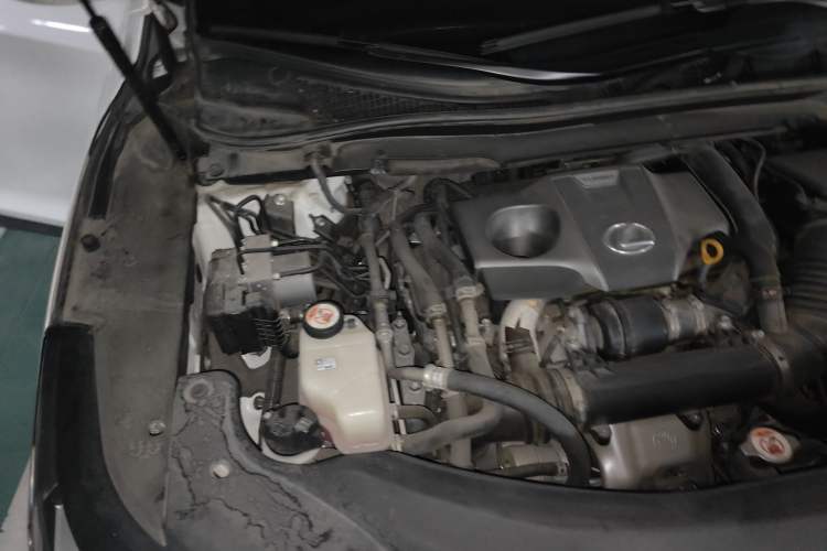 Used Lexus RX 2020 300 4x4 Elegant Edition China VI Engine Bay Right