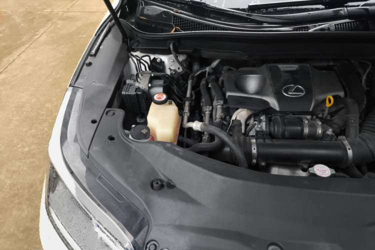 Used Lexus RX 2020 300 Two-Wheel Drive Elite Edition China VI Standard Engine Bay Right