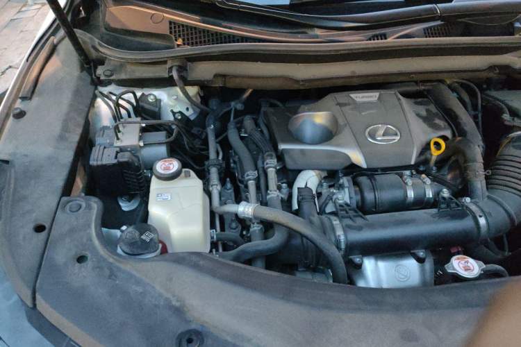 Used Lexus RX 2020 Facelifted 300 4x4 Elegant Edition Engine Bay Right