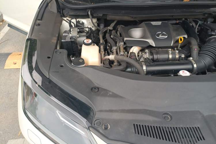 Used Lexus RX 2020 300 Two-Wheel Drive Comfort Edition China VI Standard Engine Bay Right