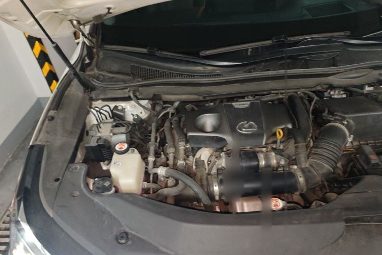 Used Lexus RX 2020 Facelifted 300 4x4 Elegant Edition Engine Bay Right