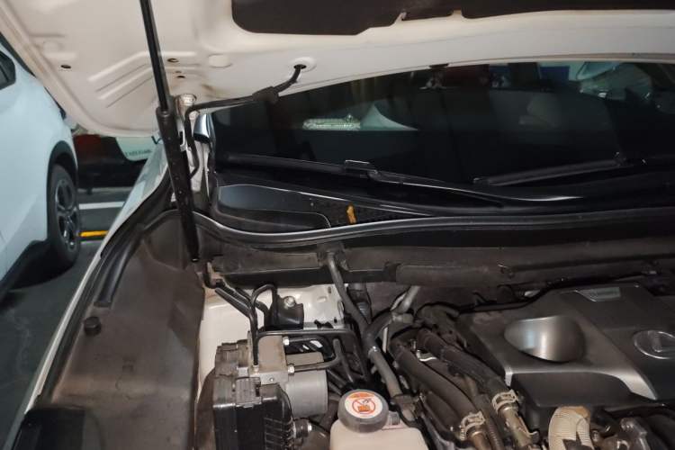 Used Lexus RX 2020 Facelifted 300 4x4 Elegant Edition Engine Bay Right