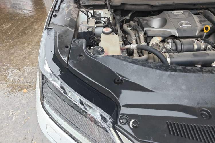 Used Lexus RX 2020 300 4x4 Elegant Edition China V Standard Engine Bay Right
