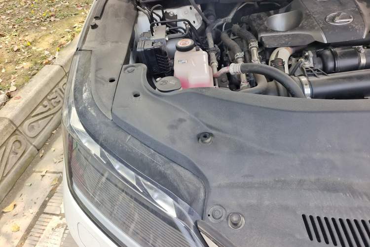 Used Lexus RX 2020 Facelifted 300 4x4 Elegant Edition Engine Bay Right